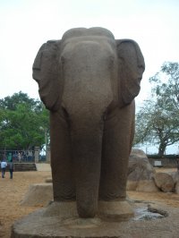 India_2009_517