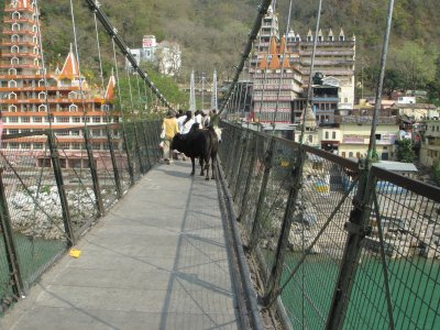 India_2009_185