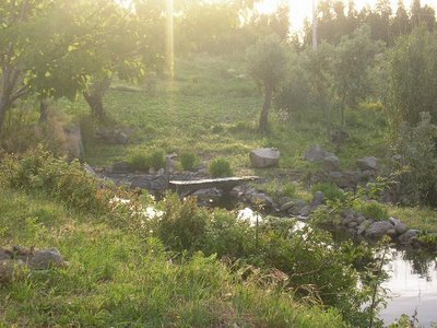 Karuna_023