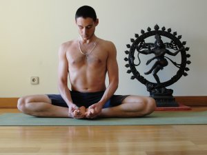 Bhadrasana