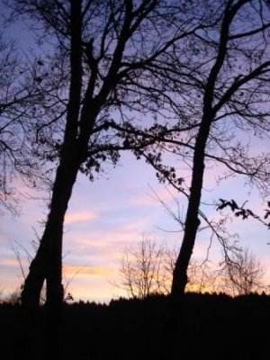 anoitecer_web